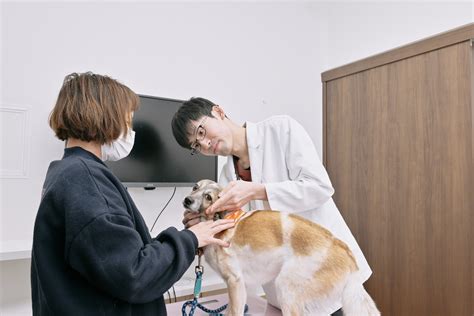 ぐり 動物病院でペットの健康をサポート