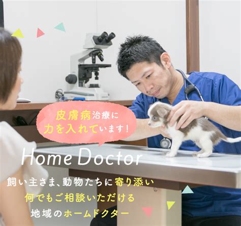 けやき通りの動物クリニック：ペットの健康管理を安心してお任せください