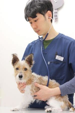 こころ動物病院 平塚でペットの健康を守りましょう！