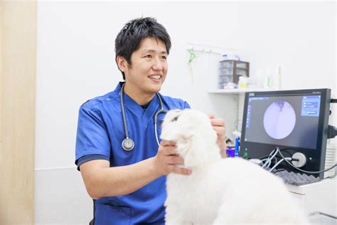 こころ動物病院 広島：ペットの健康と幸せを守る頼れるパートナー