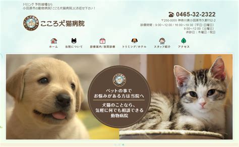 こころ犬猫病院でペットの健康を守ろう