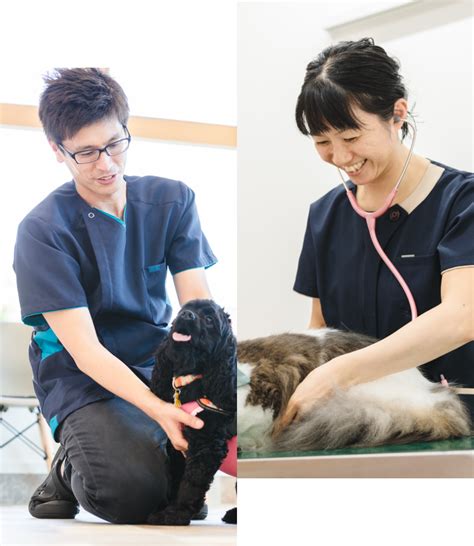 こすもす動物診療所にご相談ください：ペットの健康管理の信頼できるパートナー