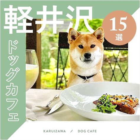 この記事では、修善寺で犬連れで楽しめるおすすめのドッグカフェを10軒厳選してご紹介します。