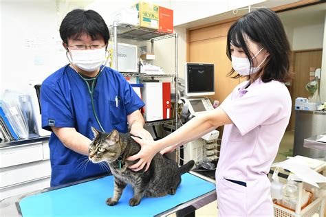 こまつ動物病院の特長