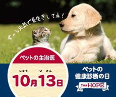 こまつ動物病院 秋田でペットの健康を守る