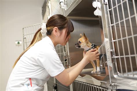 さがみ動物医療センター - ペットの健康と幸せのために