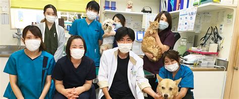 さくらぎ動物病院であなたのペットの健康を守りましょう