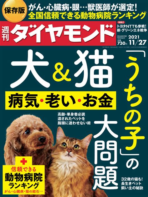 さくらんぼ動物病院：信頼できるペットケアのための総合ガイド