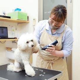 さくら通り動物病院であなたの大切なペットを安心安全にケア