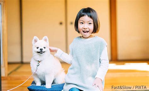 さといも犬: 愛らしいペットが健康と幸せをもたらす