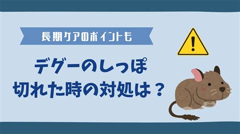 しっぽが果たす重要な役割