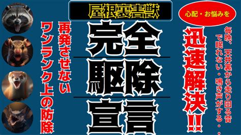 しっぽの秘密〜用途、進化、文化的な意義