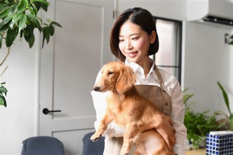 しっぽ動物病院 井土ヶ谷でペットの健康を守る