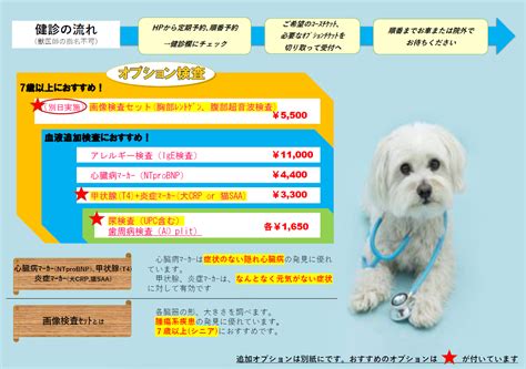 しっぽ動物病院 守山でペットの健康を守ろう！