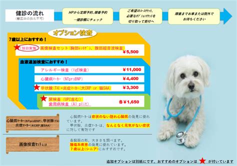 しっぽ 動物病院 守山でペットの健康を守る