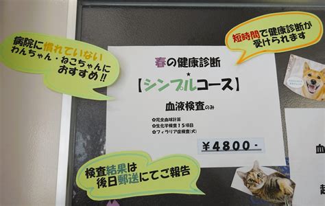 しん 動物 病院 が選ばれる理由と、動物の健康管理の極意