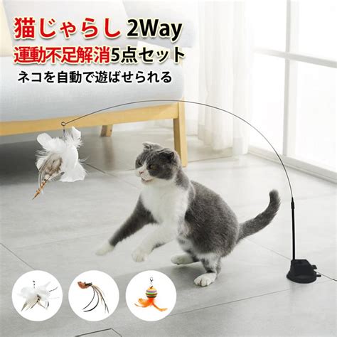 じゃらしで猫を魅了する: 効果的な遊び方とおすすめ製品