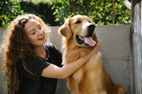 すお犬：世界で最も愛情深い犬種