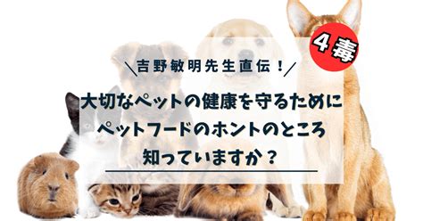 すみれペットクリニック：あなたの大切なペットの健康を守るために