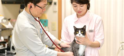 そうむらの動物病院があなたのペットを健康に導く