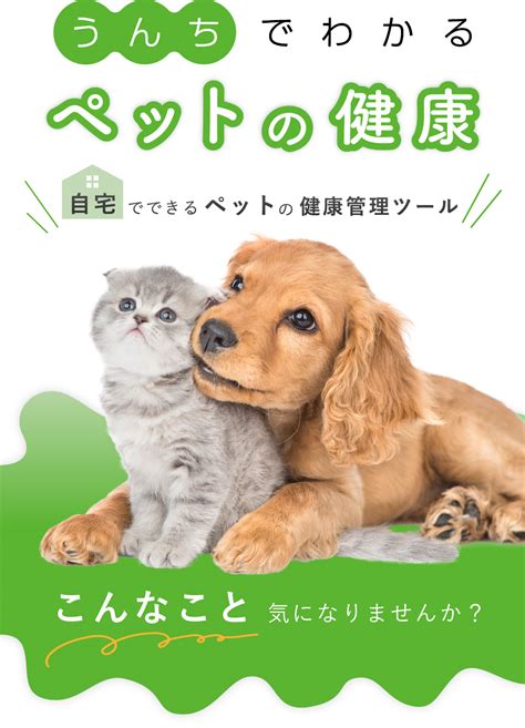 たいよう動物病院：信頼できるペットの健康管理の要