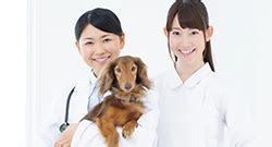 たけくま動物病院でペットの健康を守る