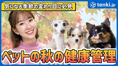 たけごし動物病院でペットの健康管理を万全に！