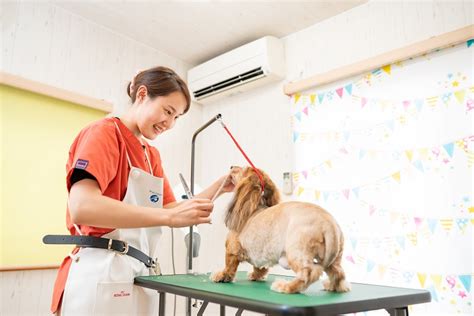 たちばな動物病院でペットの健康を守ろう