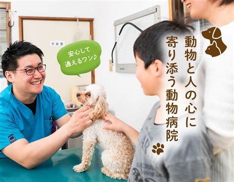 たちばな動物病院でペットの健康を最優先に