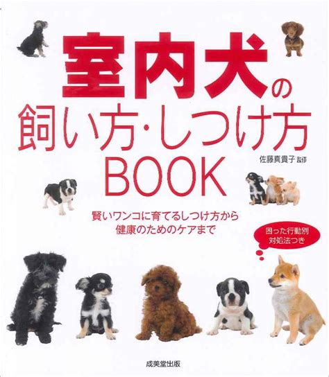 だらしない犬の飼い方と改善方法