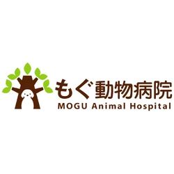 だるま動物病院：ペットの健康を守る安心の拠点