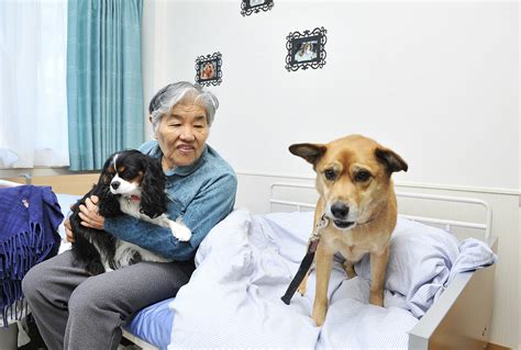 ちゃんちゃんこ犬がもたらす、動物福祉と飼い主の心の安定