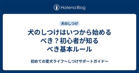 ちゃんちゃんこ犬のしつけから始める愛犬とのあたたかな暮らし