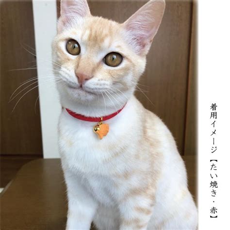 ちりめん 猫 首輪で愛猫を可愛く演出！