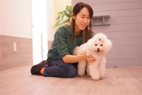 つくば市でおすすめのトリミングサロン徹底ガイド