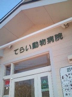 てらい動物病院