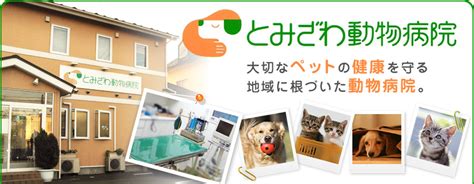 てらざわ犬猫病院でペットの健康を守る - 包括的なガイド