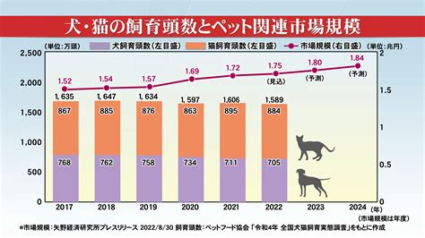 てらざわ犬猫病院でペットの健康を最優先