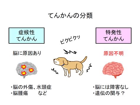 てんかん犬の推定寿命