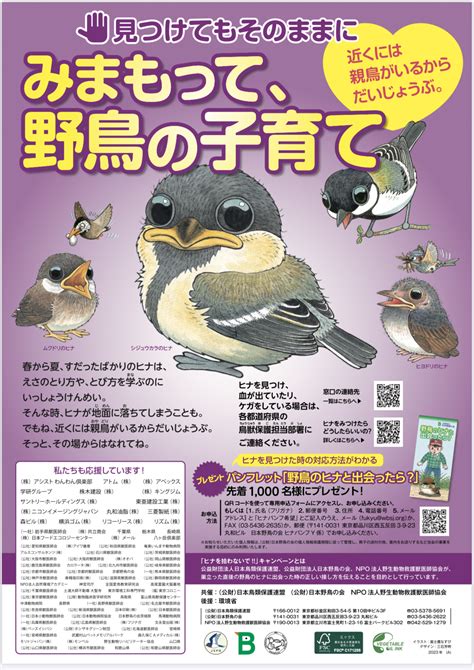 とり や 動物病院で愛鳥の健康を守ろう