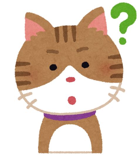 どうしてねこ？猫に関する不思議と疑問を解き明かす