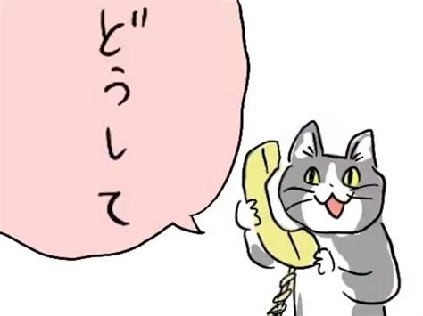 どうして ねこ？