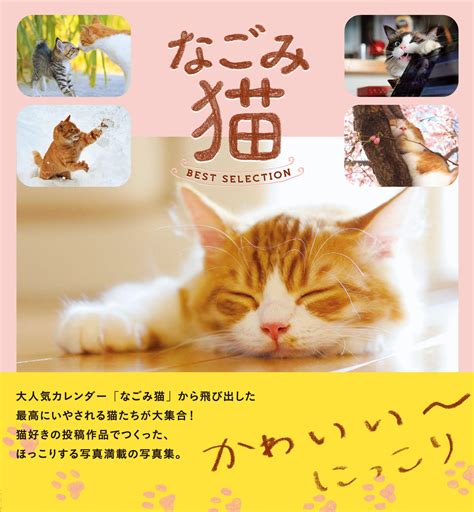 なごむ癒しの存在：なごみ猫のすべて