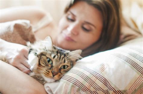 なぜかえで動物病院を選ぶのか？