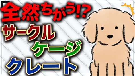 なぜサークルケージが重要ですか？