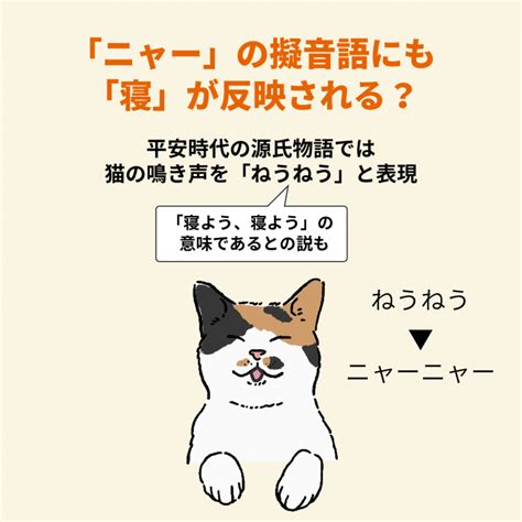 なぜ猫は「ニャー」と鳴くのか？