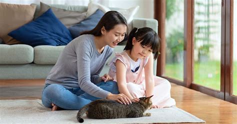 にゃんこ クリーナー：愛猫と快適な住環境の実現のために