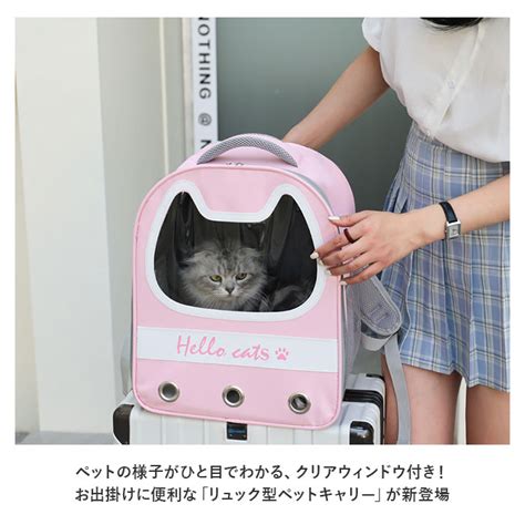 ねこいちキャリーで快適なお出かけを実現！