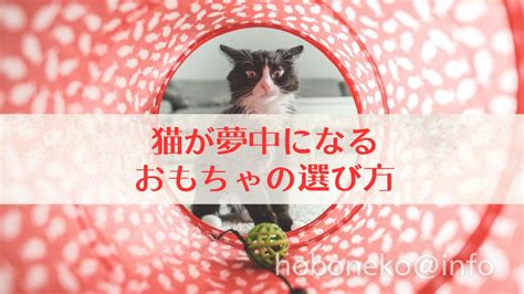 ねこが夢中になるおもちゃの選び方