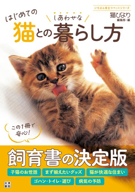 はじめての猫を迎えるための完全ガイド